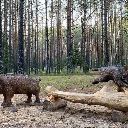 Санаторий Нарочанский берег Экстерьер фото
