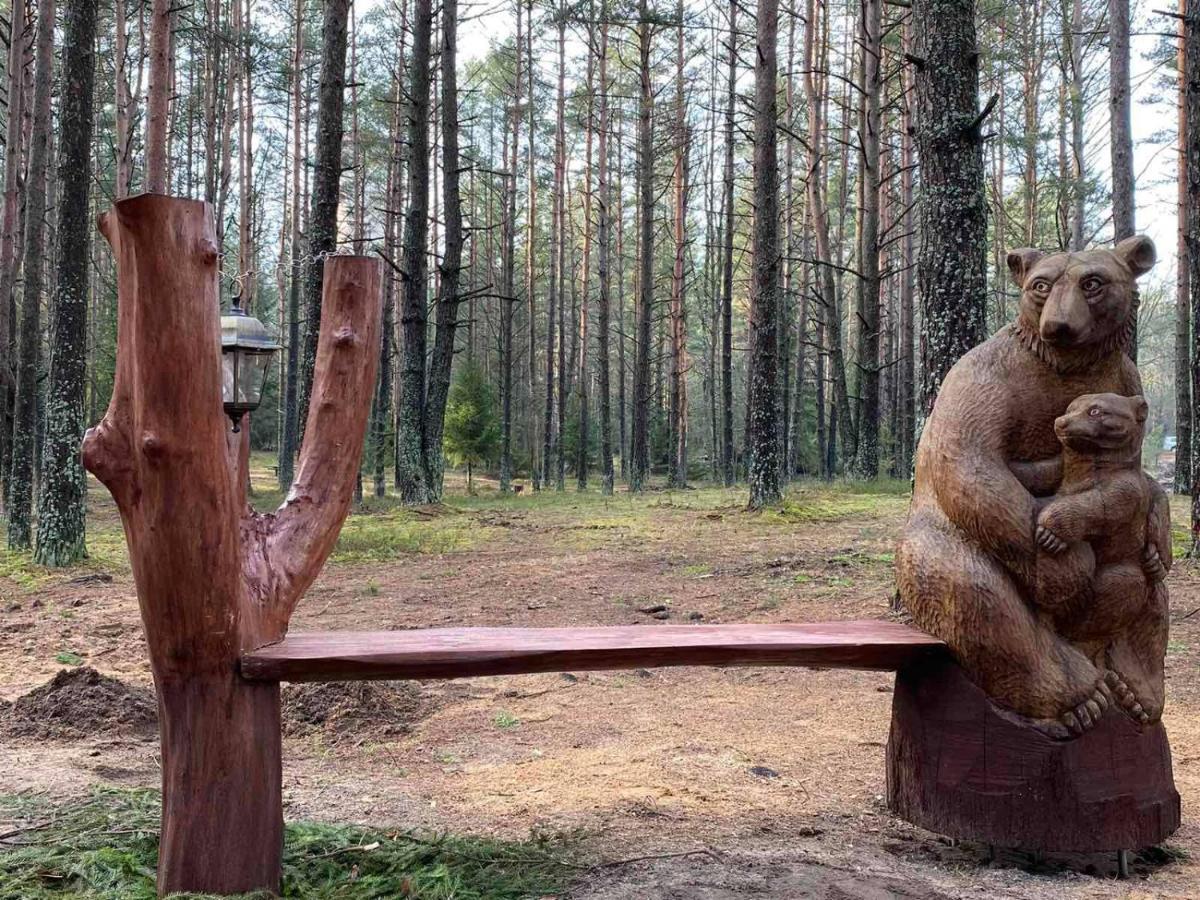 Санаторий Нарочанский берег Экстерьер фото