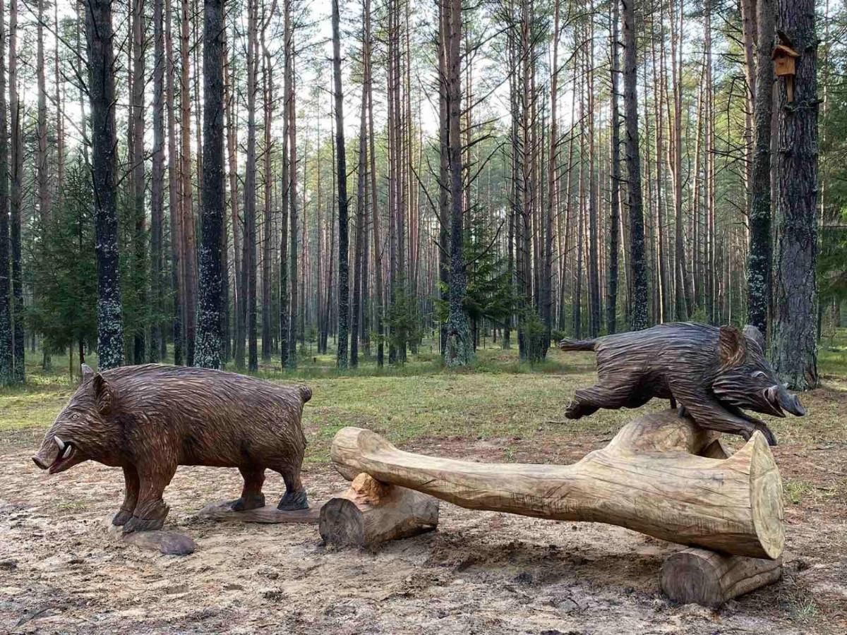 Санаторий Нарочанский берег Экстерьер фото